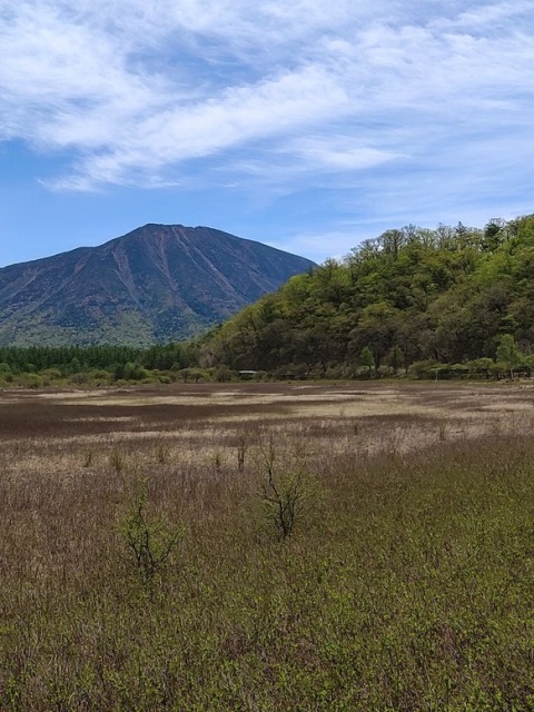 小田代ヶ原へ行ってきました！