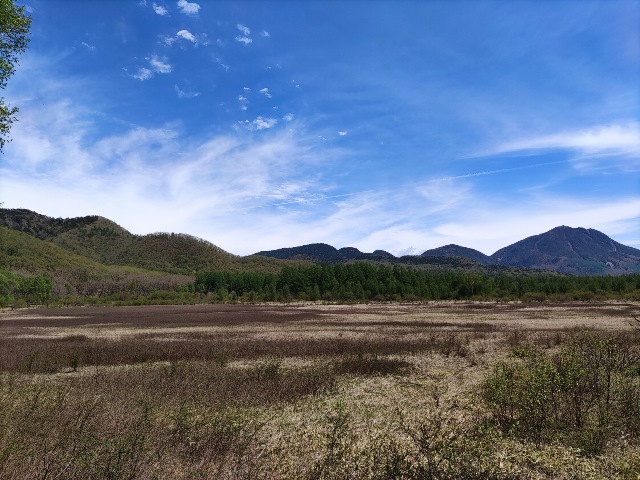 小田代ヶ原へ行ってきました！