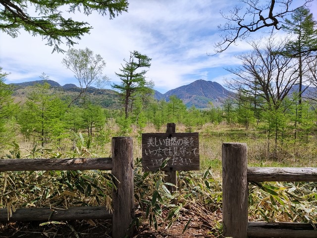 小田代ヶ原へ行ってきました！