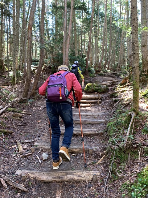 日光白根山へ登山してきました！