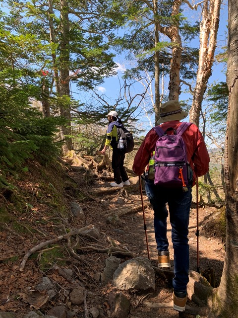 日光白根山へ登山してきました！