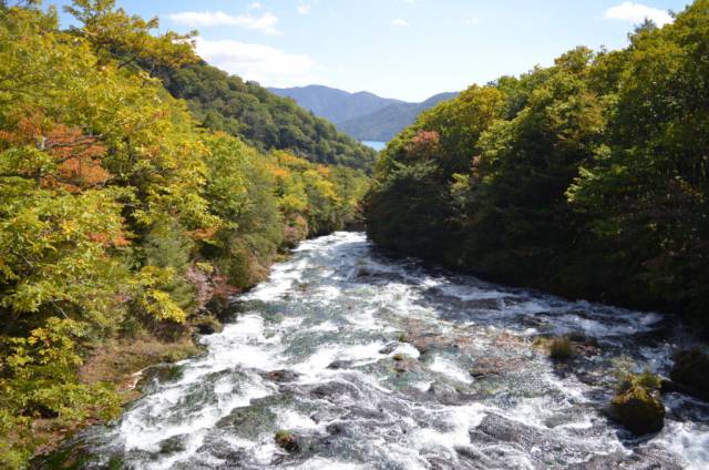 奥日光紅葉情報