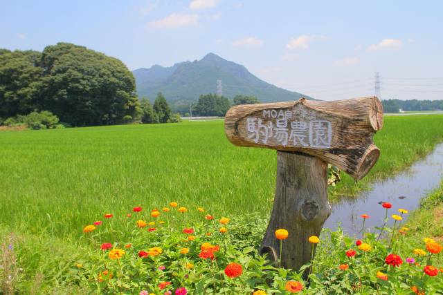 日光を食べ尽くそうキャンペーン開催中です♪