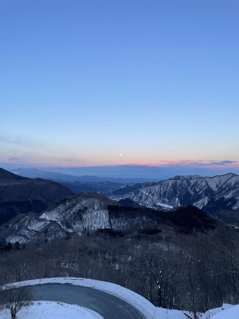 今年の冬。