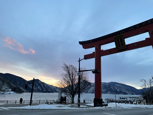 今年の冬。