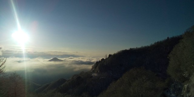 今年の冬。