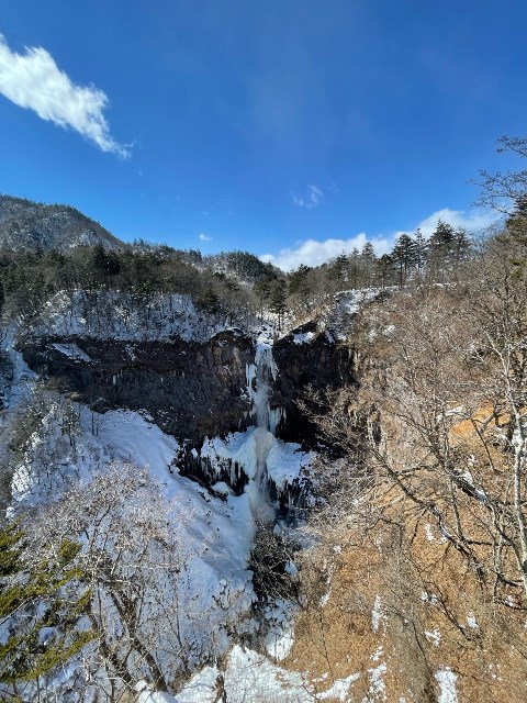 今年の冬。