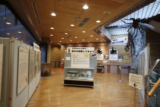 日光自然博物館イベント