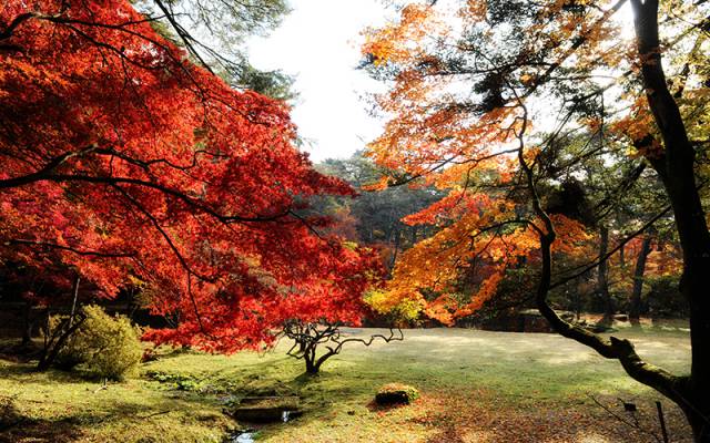 松屋敷　庭園公開日について