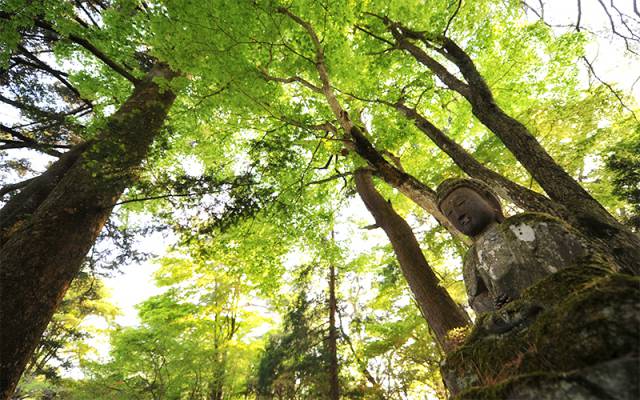 松屋敷　庭園公開日について