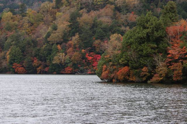 奥日光紅葉情報