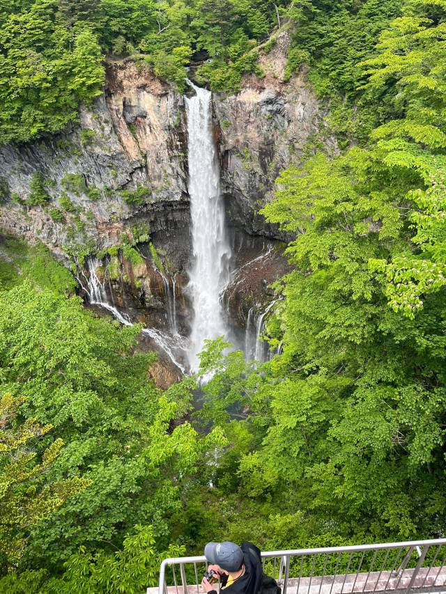 イワツバメが集まる華厳の滝