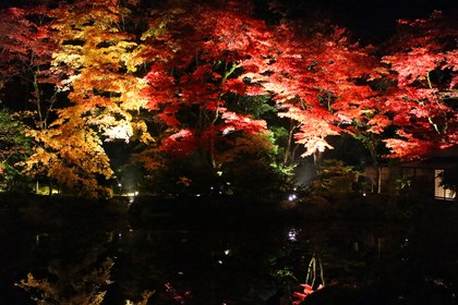 【日光】秋のイベント紹介