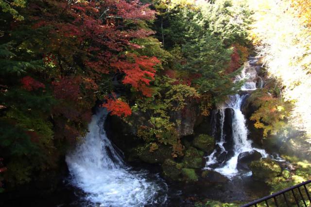 奥日光の紅葉をお届け