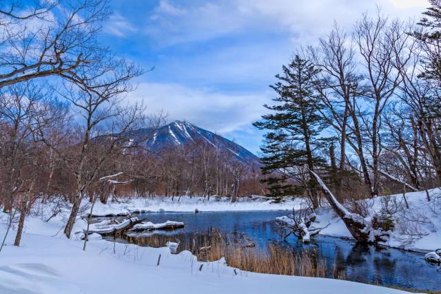 クリスマスティー（チャイティー）