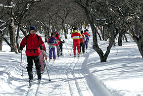 光徳クロスカントリースキー場