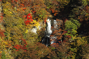 霧降の滝