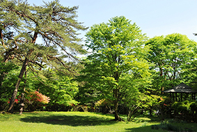 松屋敷