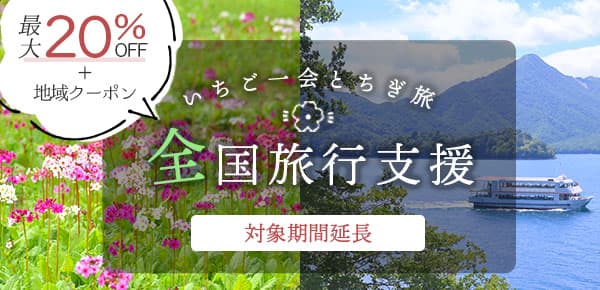 全国旅行支援 いちご一会とちぎ旅 最大20%OFF+地域クーポン 2023年1月10日~3月31日
