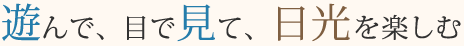 遊んで、目で見て、日光を楽しむ